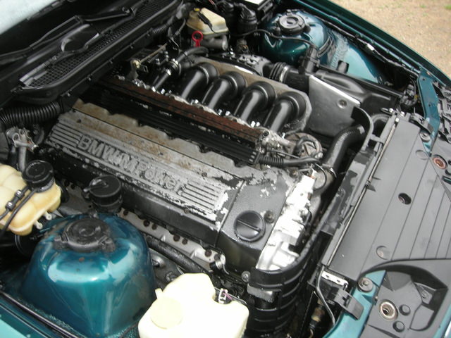 DSCN9771.JPG