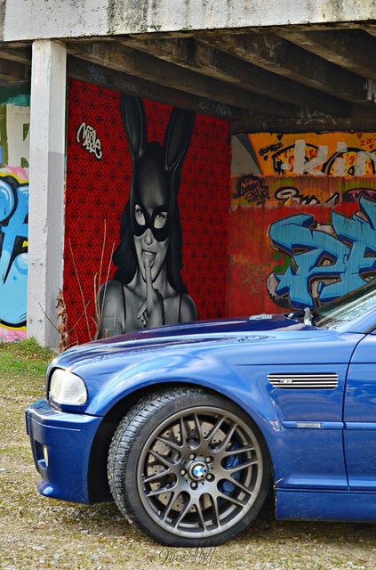 DSC_8403.thumb.JPG.ec18d85901e9bb6efe1e99973034c2ab.JPG