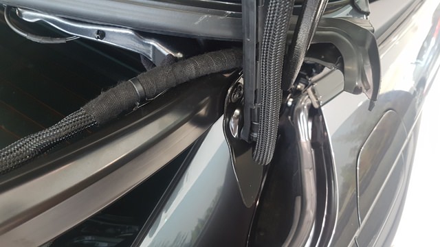 20190805_093142.jpg