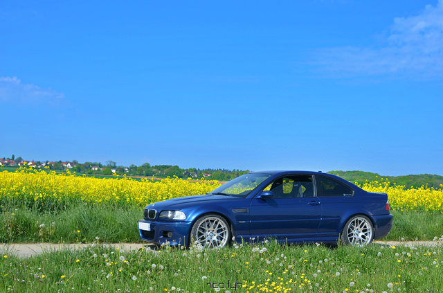 DSC_9716.thumb.JPG.bf4ec9d22cd3480ef4e9cf735ae0c10b.JPG