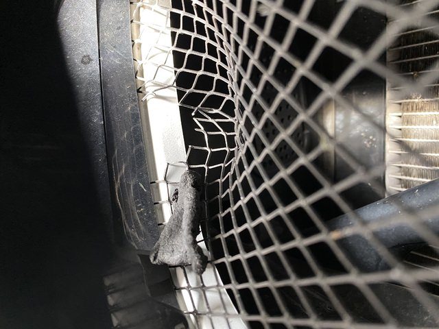 D61D36D3-7CAB-4387-AC8E-75074C6363FA.jpeg.c459e2ed9ba2a913c532b838e49592ff.jpeg
