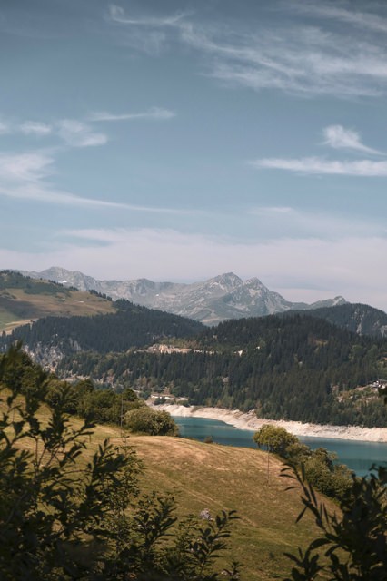 48E5D2E9-0028-4307-B9E5-29478F8F156A.jpeg