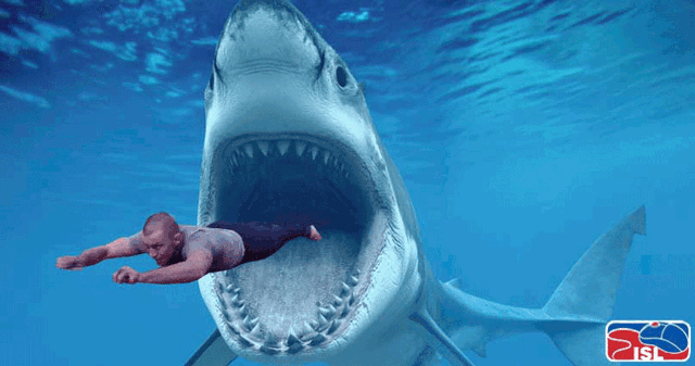 4hiL.thumb.gif.5e293194a4f052978dec7f147939ecf9.gif
