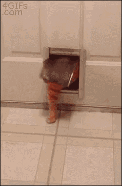 image.gif.e1cffc19541163212103e6523d9a717a.gif