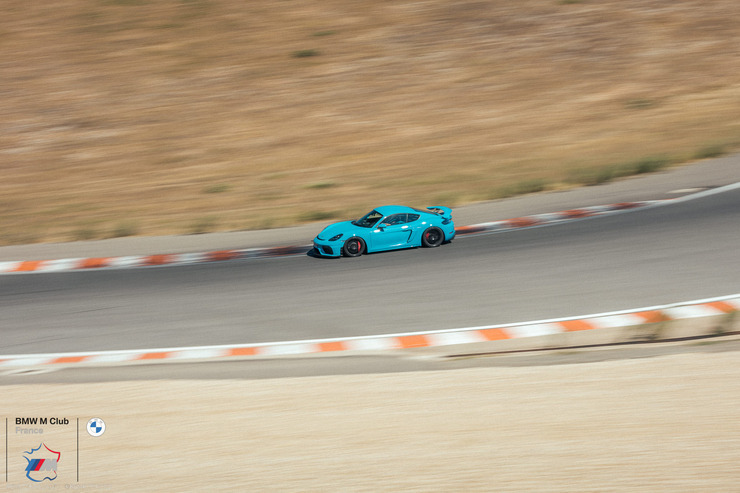 232A7233.jpg