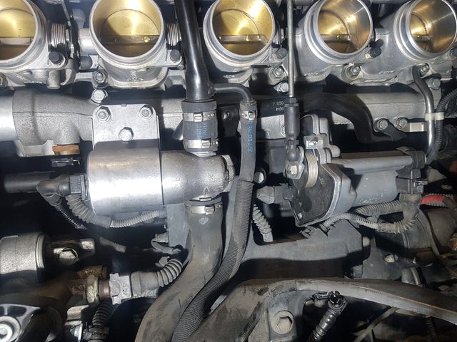 20220917_114338.jpg