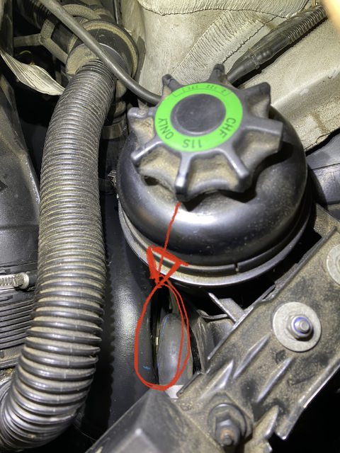 BCDD9EDB-BE80-4EC8-BBAF-E8BB689A547F.thumb.jpeg.d8d3014b4557a32ec5dcc493cfd6cac6.jpeg