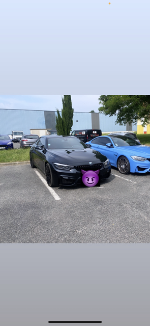 M4.png