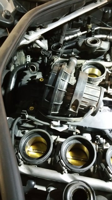 20190806_192914.jpg
