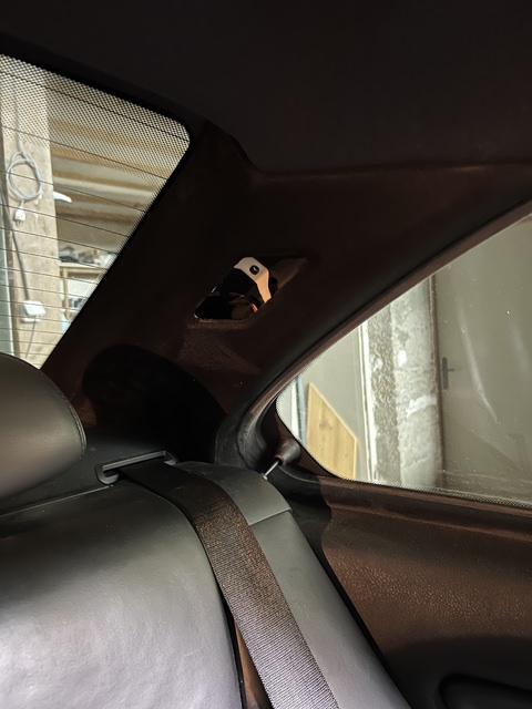 93030B57-0CF1-400C-93F8-E03D7E067D3D.jpeg
