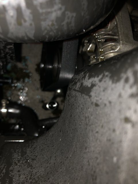 IMG_2715.thumb.JPEG.3fca2254ab935ca0bdc4b345322e9bb6.JPEG