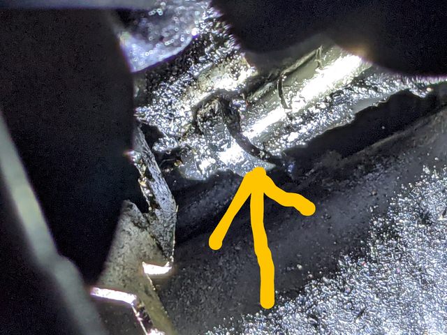 PXL_20230225_095535977~2.jpg