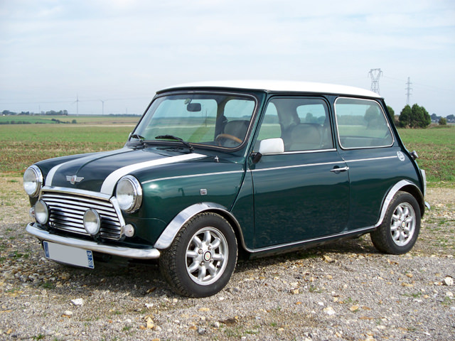 mini.jpg.0951028d95fbdd3f2f819b182d8d84fb.jpg