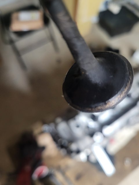 20230315_203539.jpg