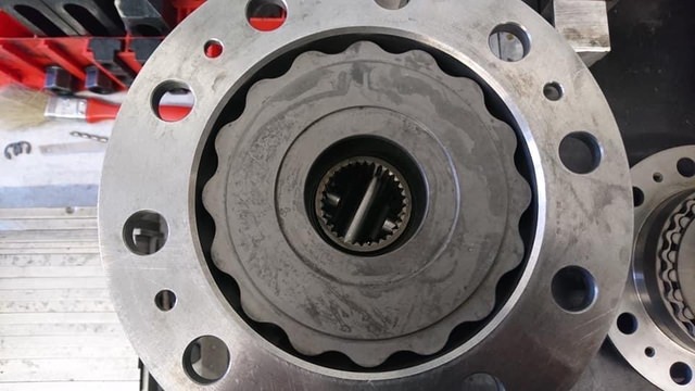 IMG_2070.jpeg