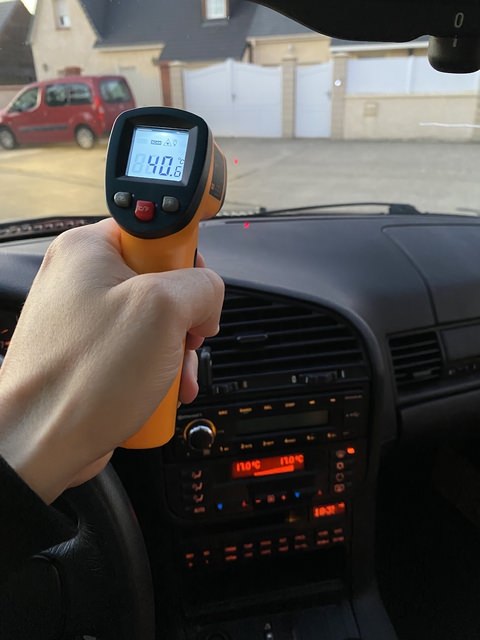 IMG_6486.thumb.jpeg.413dbf31156791313694a2652cfec04e.jpeg