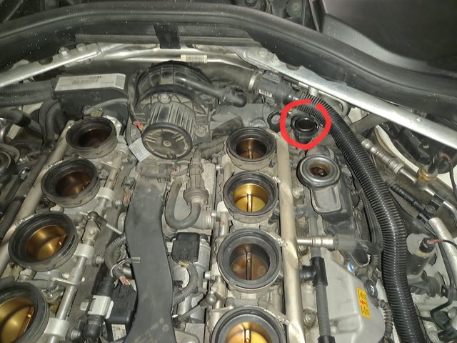 20230522_132831.thumb.jpg.6d9f268329d26d63e6d50525563f8091.jpg