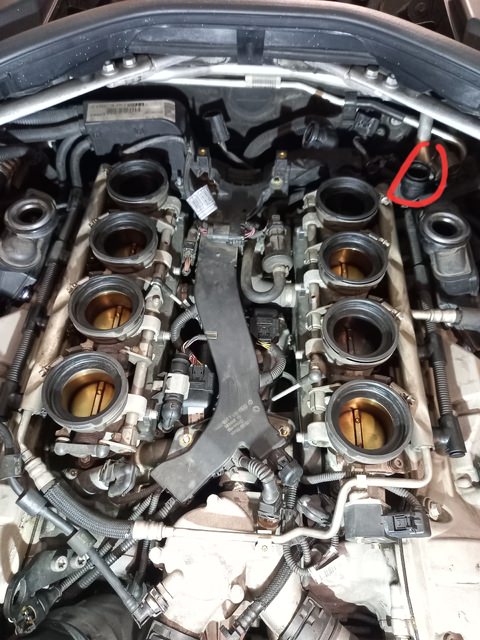 20230522_175151.thumb.jpg.2d65d34dbf18d796bdf31e720854a27c.jpg