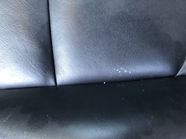 E95F769C-E8F7-4770-90F1-1F83AD6EC318.jpeg