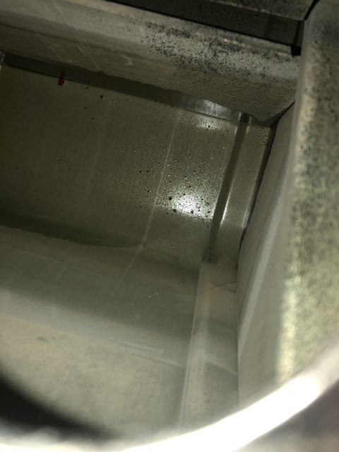 IMG_1774(1).thumb.JPEG.e8a5073d5e0e9d5f16c91fa634eb1f8a.JPEG