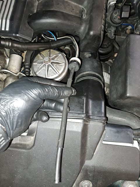 20230713_133203.thumb.jpg.4af5ed48b40991fd61832387b408b29e.jpg