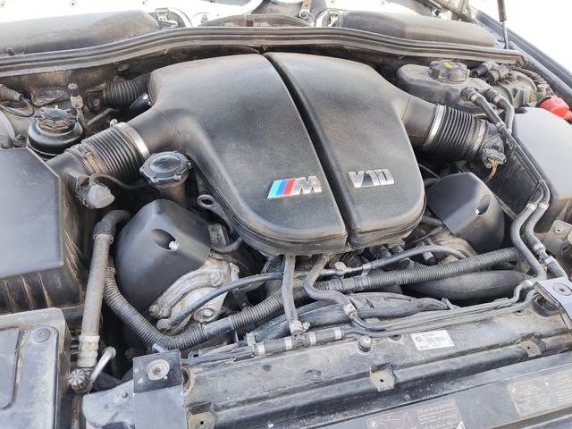 IMG_20230804_101559.jpg