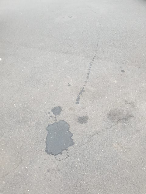 20230928_185354.thumb.jpg.373c06d554d1b124e3b8c1bc9c3a87b4.jpg