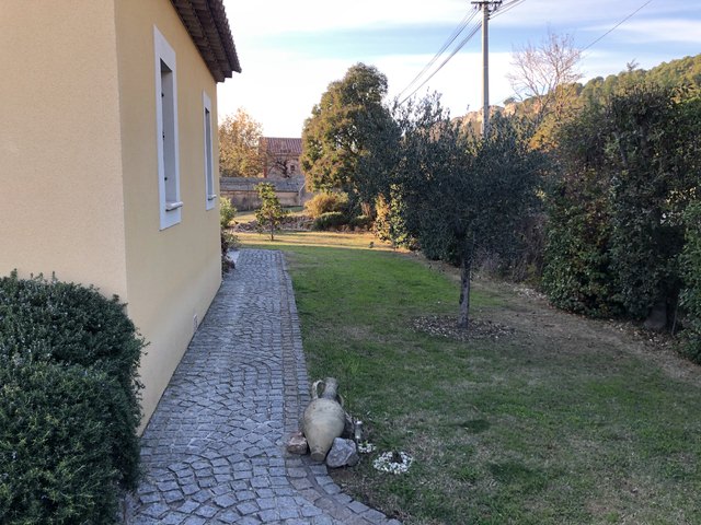 IMG_3112.jpeg