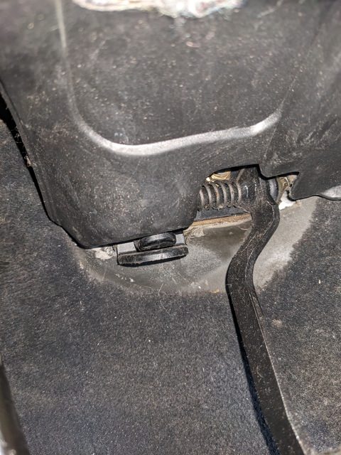 PXL_20231003_162747137.jpg