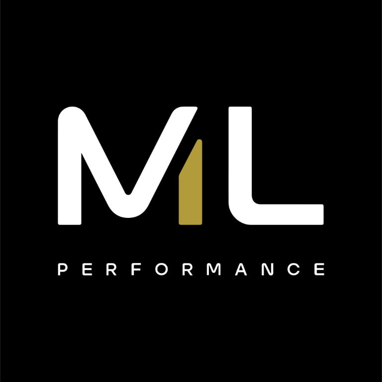 Plus d’informations sur « ML Performance »