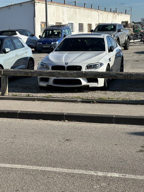 IMG_1969.thumb.jpeg.e7877810d77cd31d1dfddb522ef0fc0d.jpeg