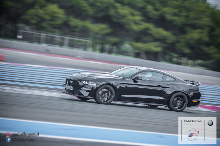 2J4A4216.jpg