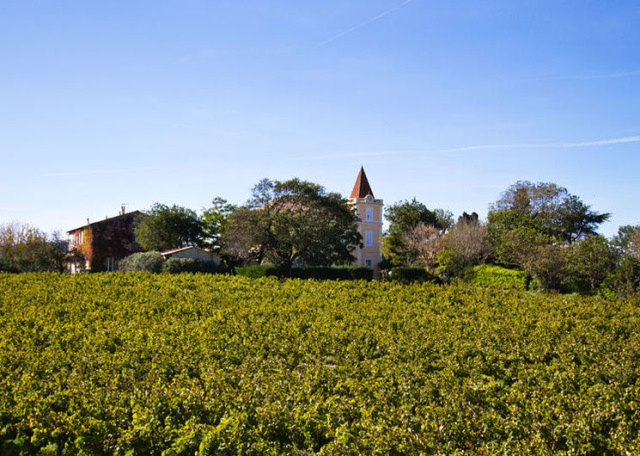 chateau---vignes.jpg