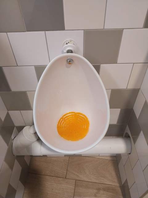 20240215_184527.jpg