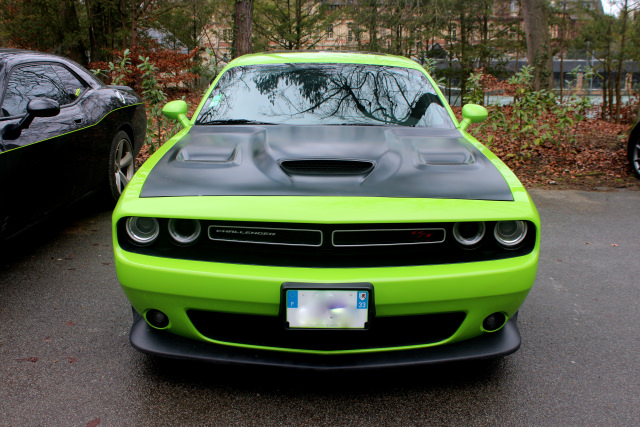 IMG_1198-001.thumb.JPG.aa7f43aabab43d5eb3e347892cf6c28f.JPG