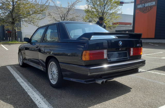20230409_150249dav.jpg
