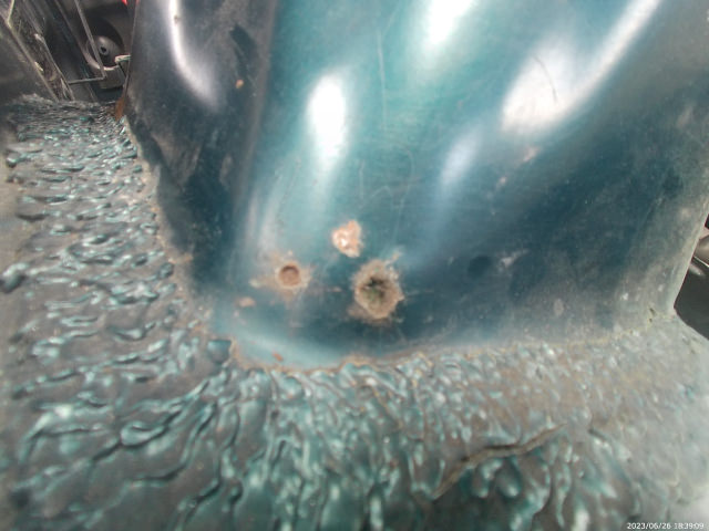 20230626_183909.thumb.JPG.dd8511c859340ece89582e77770ab588.JPG