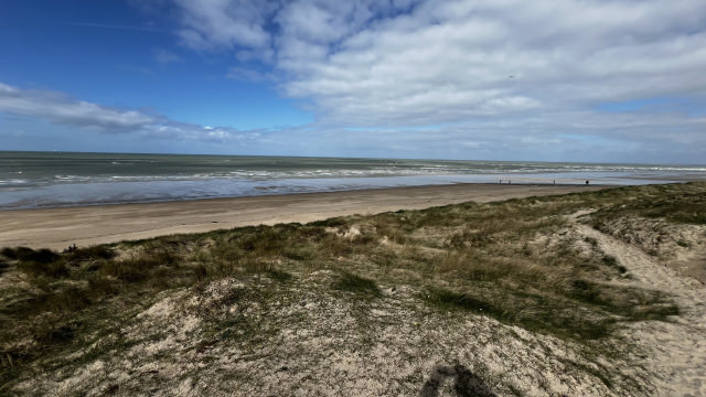 IMG_1398.jpeg