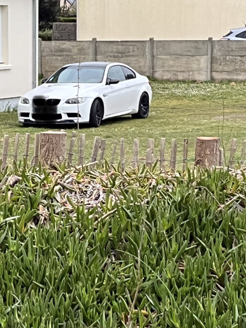 IMG_8477.jpeg