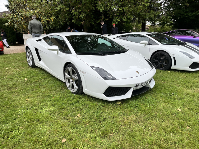 IMG_4378.jpeg