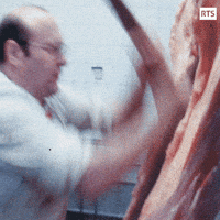 200w.gif.b0c8d26a13dfeda47feb994bd5350874.gif
