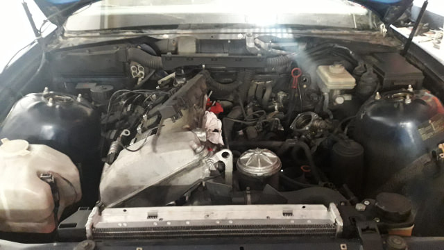 20240719_161607.jpg