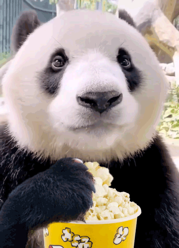 9IR2yuO.thumb.gif.10b390fc3d6996f10b626f0c7042d815.gif