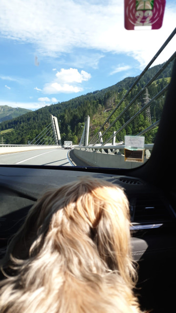 IMG-20220714-WA0016.thumb.jpg.409c1ef130f92aa5ddd5afe3c10a2c02.jpg