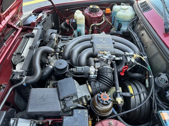 1444833379.jpg.webp