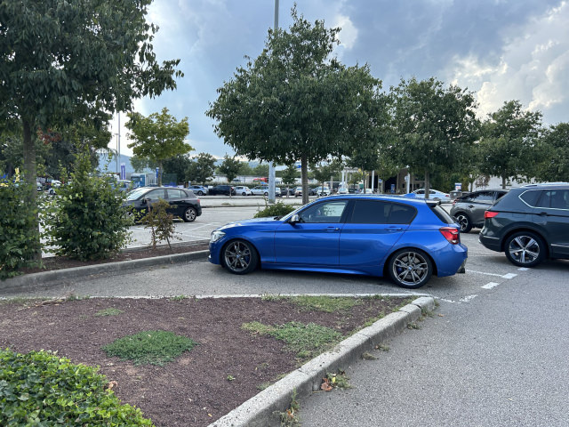 IMG_3185.jpeg