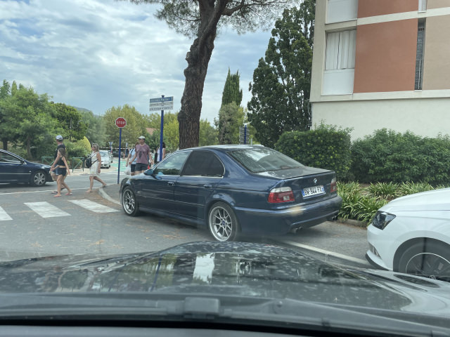 IMG_6173.jpeg