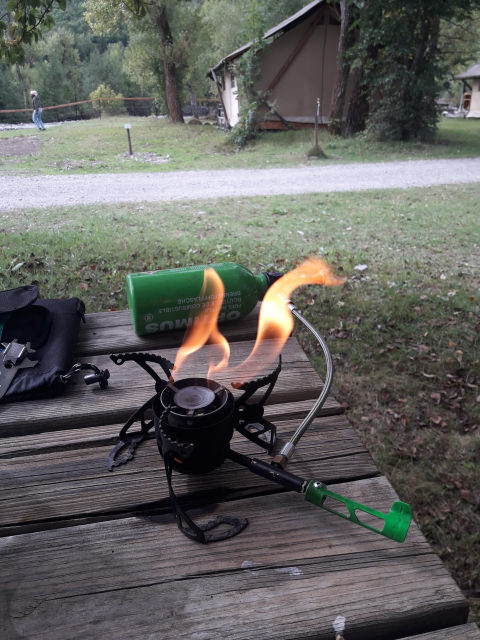 20240912_111201.jpg