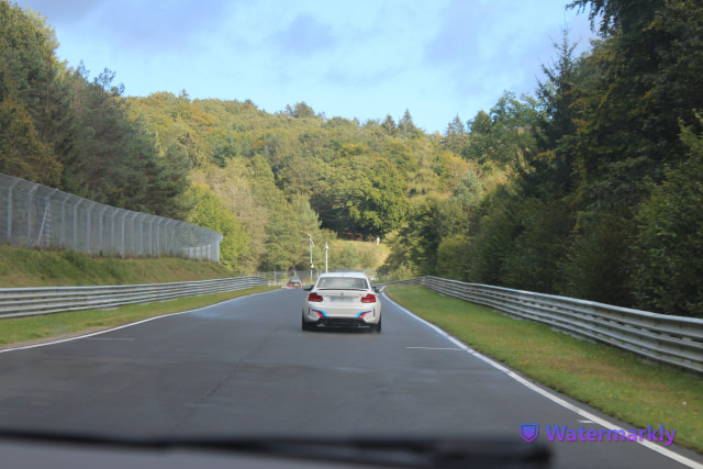 IMG_1369.thumb.JPG.ae28a116dd3e159ae8ed52abfd5b6e17.JPG