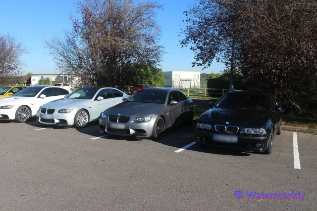 IMG_1443.JPG.b4558270c89cf3c2515a1c33912e18c4.webp